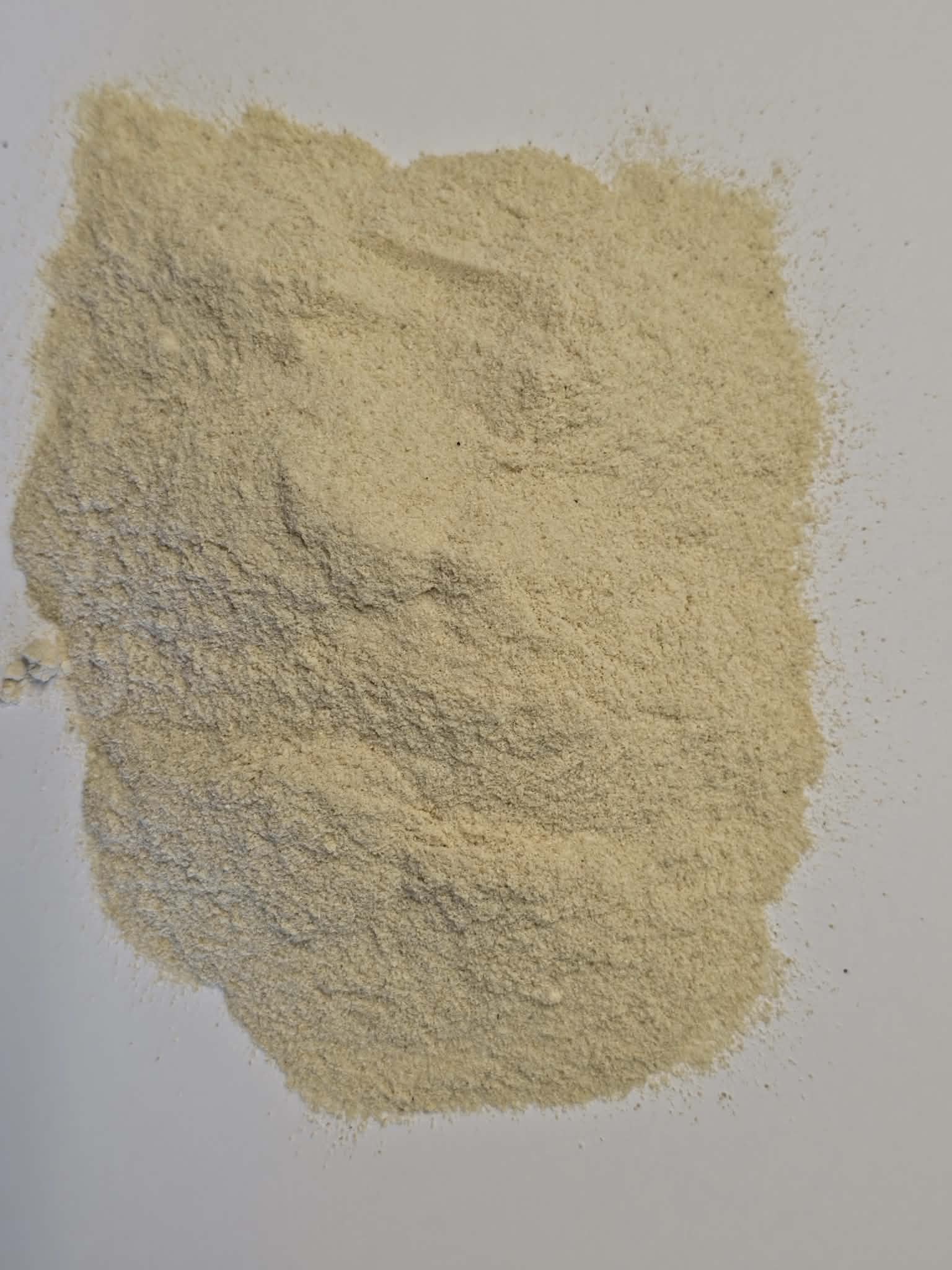 Overhead close-up photograph showing the fine texture and light tan color of finely milled 5 years old Premium Panax Ginseng root powder spread on a plain white surfac