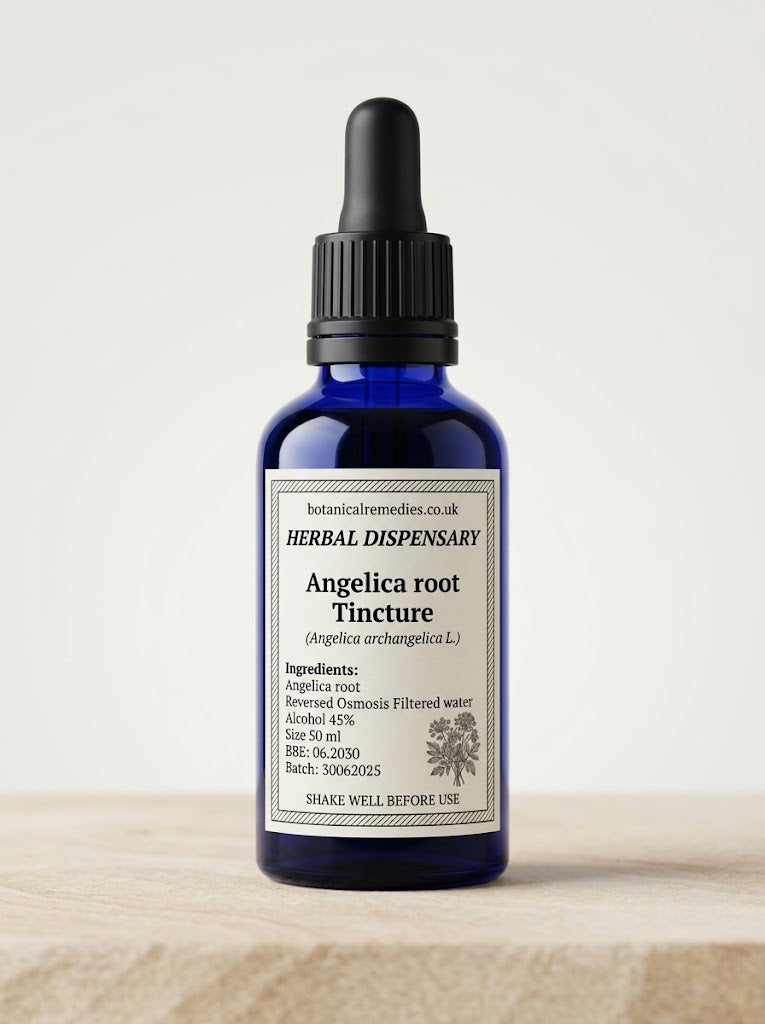 Premium Dried Angelica Root Tincture 1:3 (Angelica archangelica) 45% ABV small-batch cold percolated in Great Britain in UV-resistant glass.