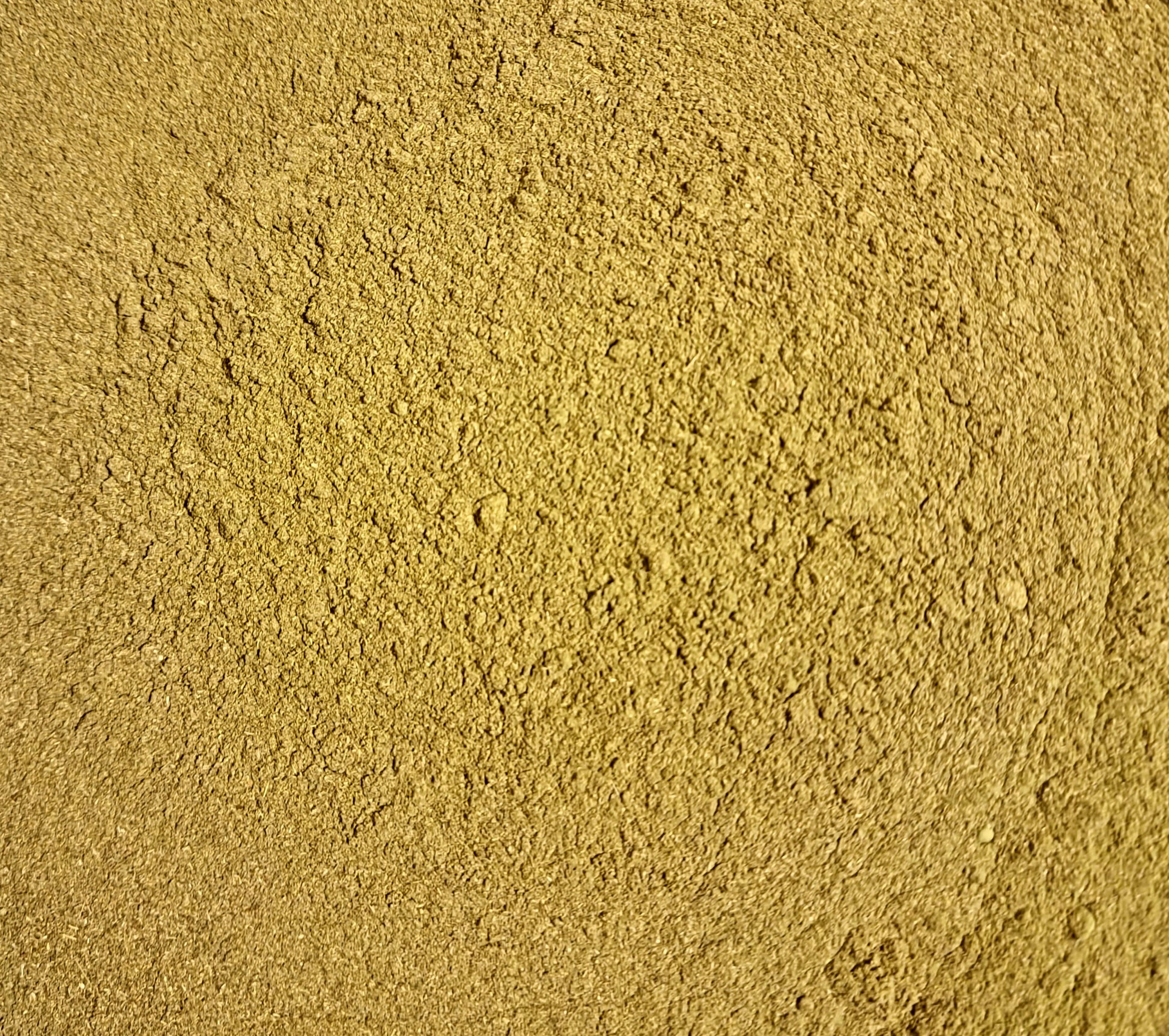 A top-down macro photograph of loose Apothecary Grade Young Barley Grass and Daily Greens Powder blend, displaying the ultra-fine uniform olive-green botanical powder texture.