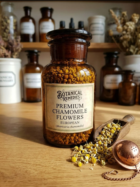 A traditional dispensary jar filled with practitioner-grade, European-sourced loose chamomile flowers, displayed with a wooden scoop and copper tea infuser.