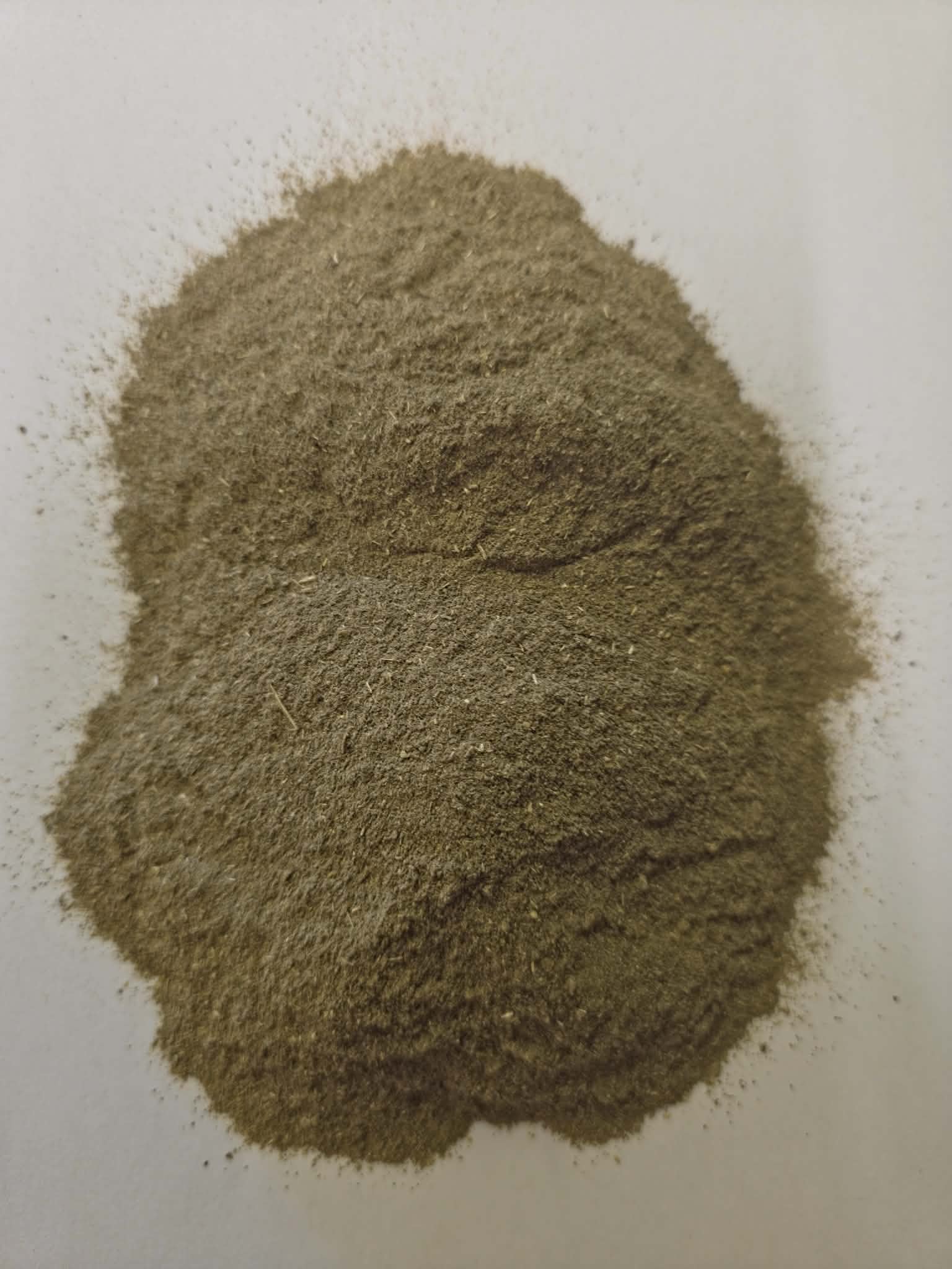 A close-up photograph of premium, finely milled Chanca Piedra powder (Phyllanthus niruri). The image showcases the natural, earthy green-brown texture of this pure, practitioner-grade botanical, traditionally known as Stone Breaker and expertly prepared for quick absorption in herbal infusions and smoothies.