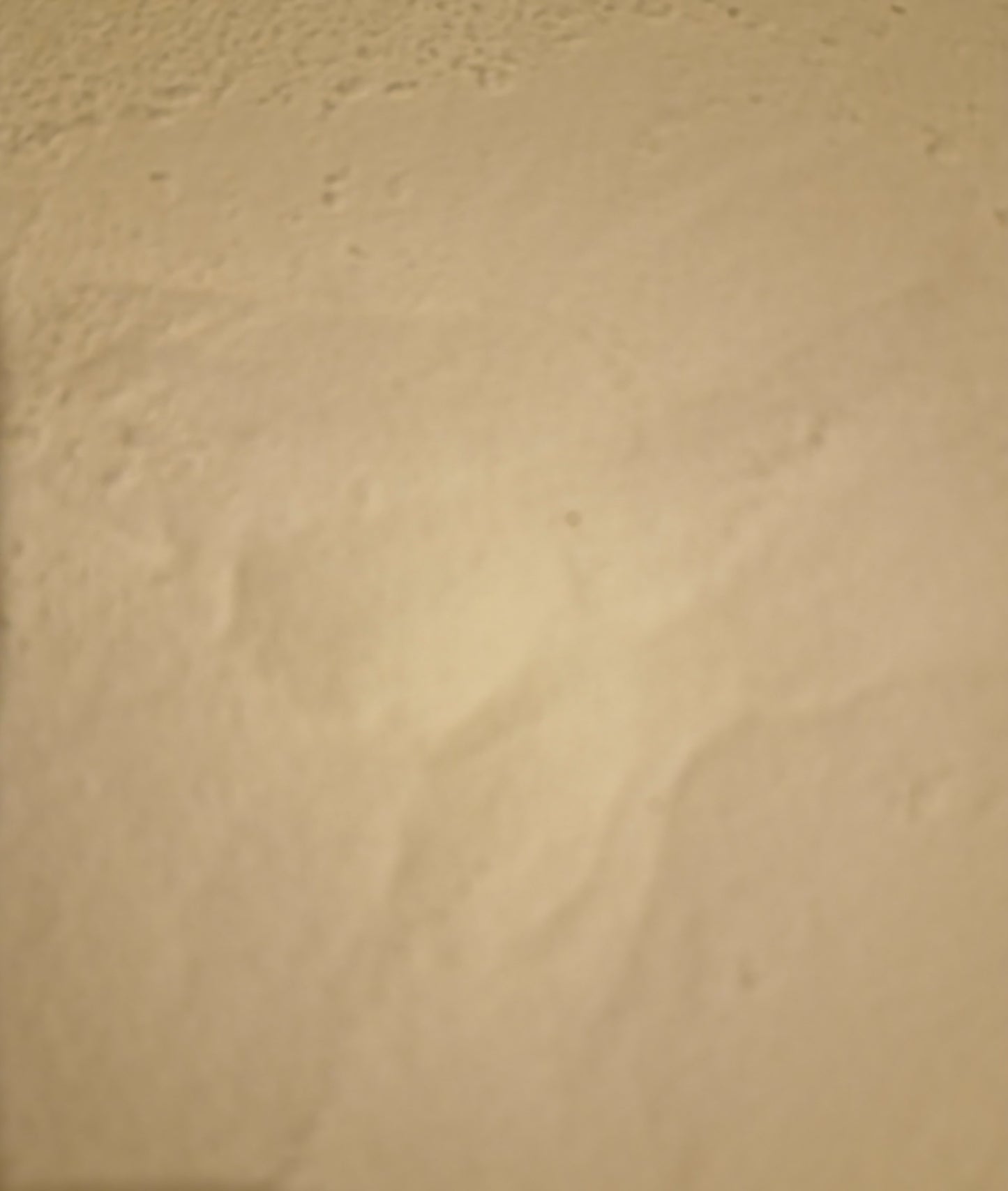 An overhead close-up macro photograph of loose Apothecary Grade Chicory Root Inulin Powder, highlighting the ultra-fine, snowy-white texture of pure soluble Belgian fructan fiber from Cichorium intybus.