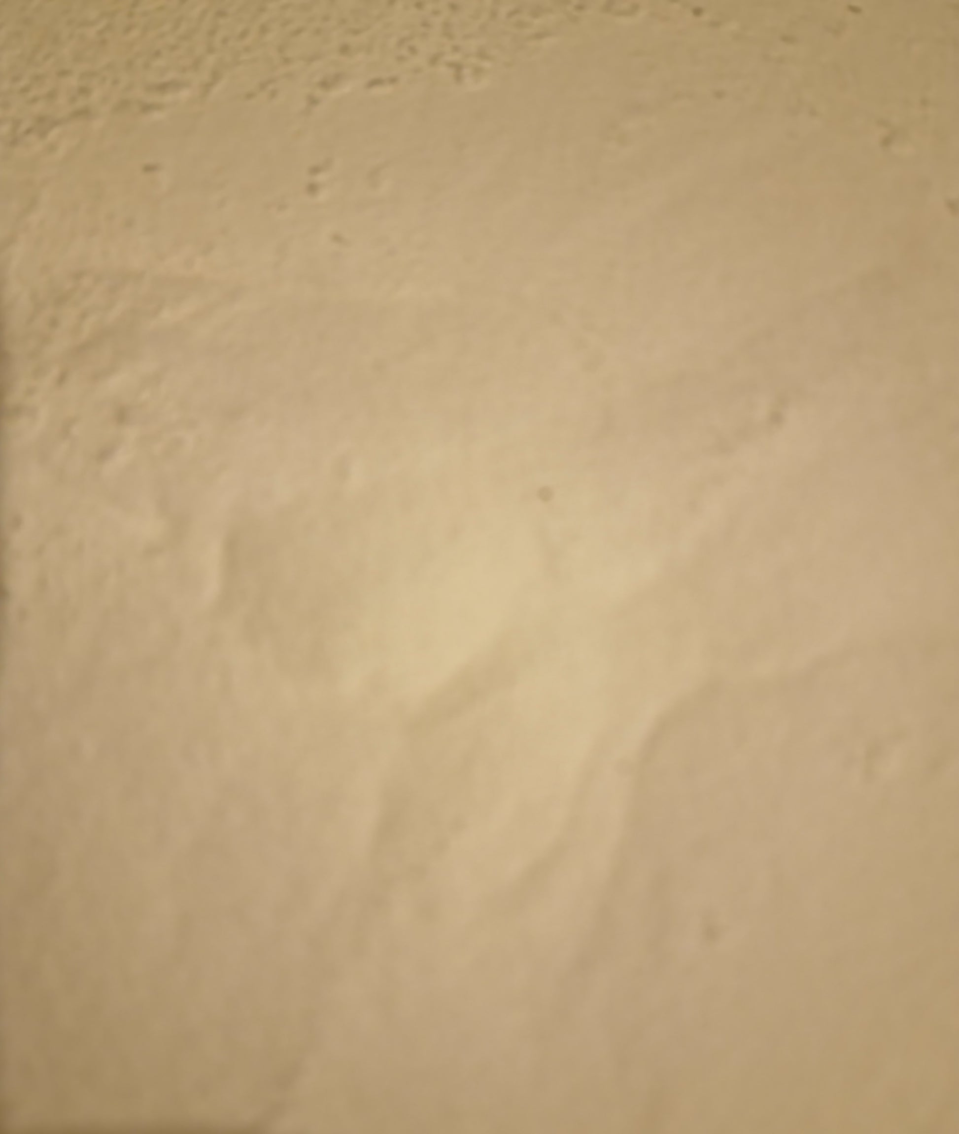 An overhead close-up macro photograph of loose Apothecary Grade Chicory Root Inulin Powder, highlighting the ultra-fine, snowy-white texture of pure soluble Belgian fructan fiber from Cichorium intybus.