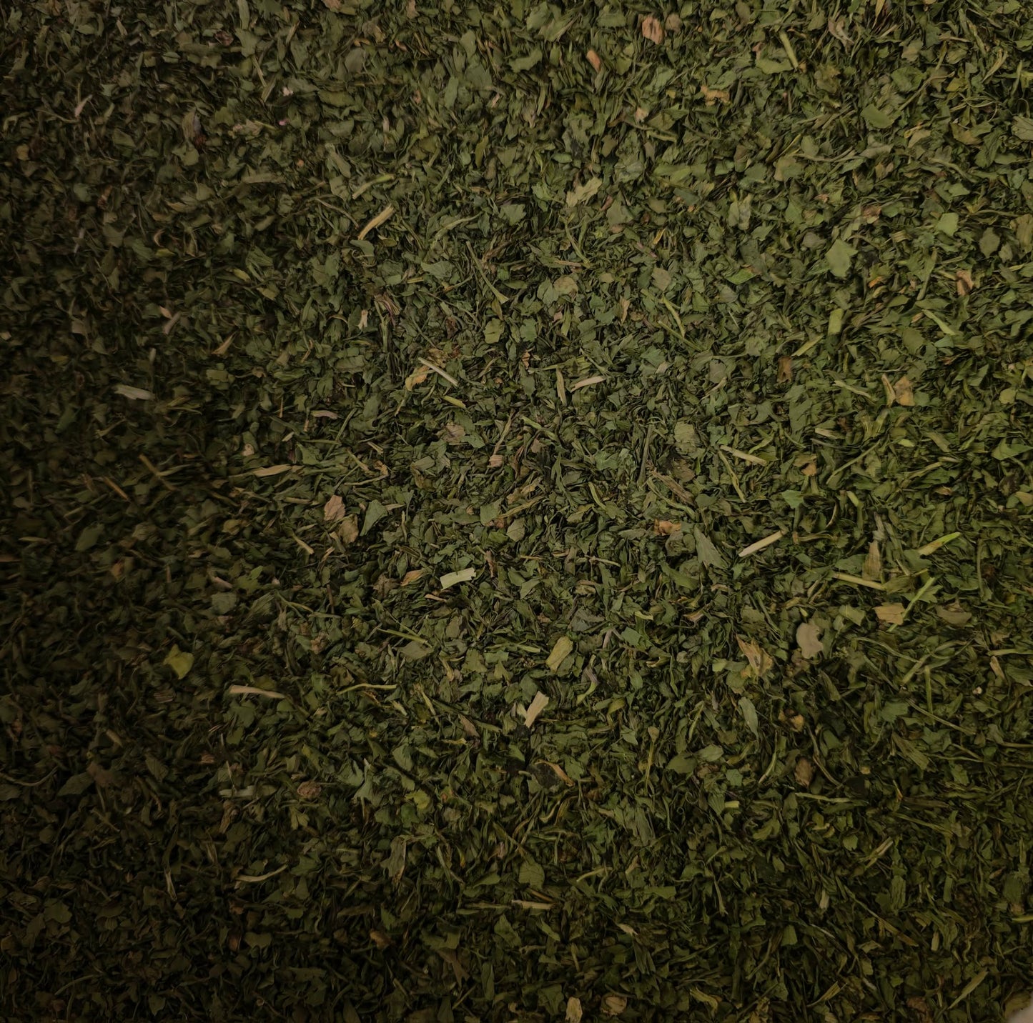 A close-up macro photograph of premium, laboratory-tested dried Coriander leaf (Cilantro). The image highlights the vibrant green, finely chopped texture of this 100% pure botanical, expertly cultivated in Italy and perfectly prepared for holistic culinary use and herbal infusions