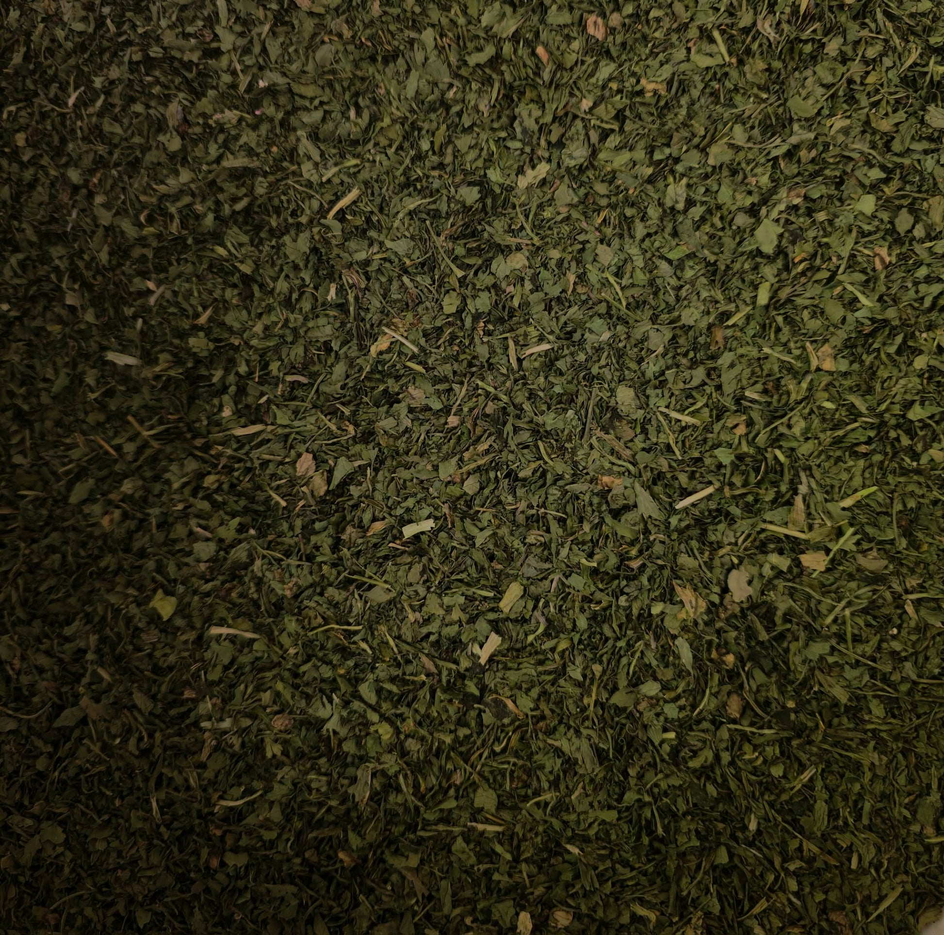 A close-up macro photograph of premium, laboratory-tested dried Coriander leaf (Cilantro). The image highlights the vibrant green, finely chopped texture of this 100% pure botanical, expertly cultivated in Italy and perfectly prepared for holistic culinary use and herbal infusions