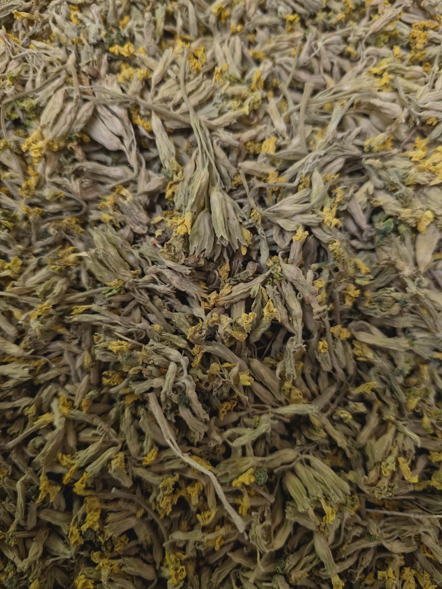 A close-up view of whole, dried Primrose flowers (Primula flos) featuring pale green calyxes and delicate yellow petals, sourced for Botanical Remedies.