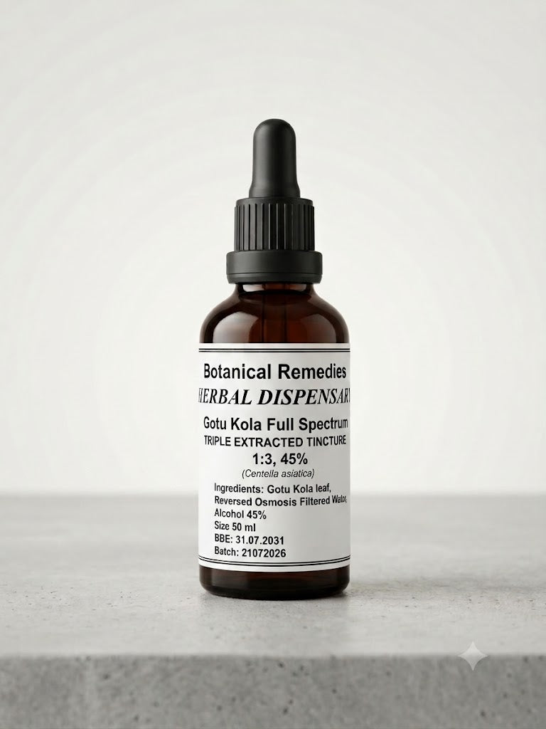 An apothecary amber glass dropper bottle of Premium Full-Spectrum Gotu Kola Liquid Extract (Centella asiatica), crafted at a 1:3 ratio using wild-grown leaf and pure beetroot alcohol.