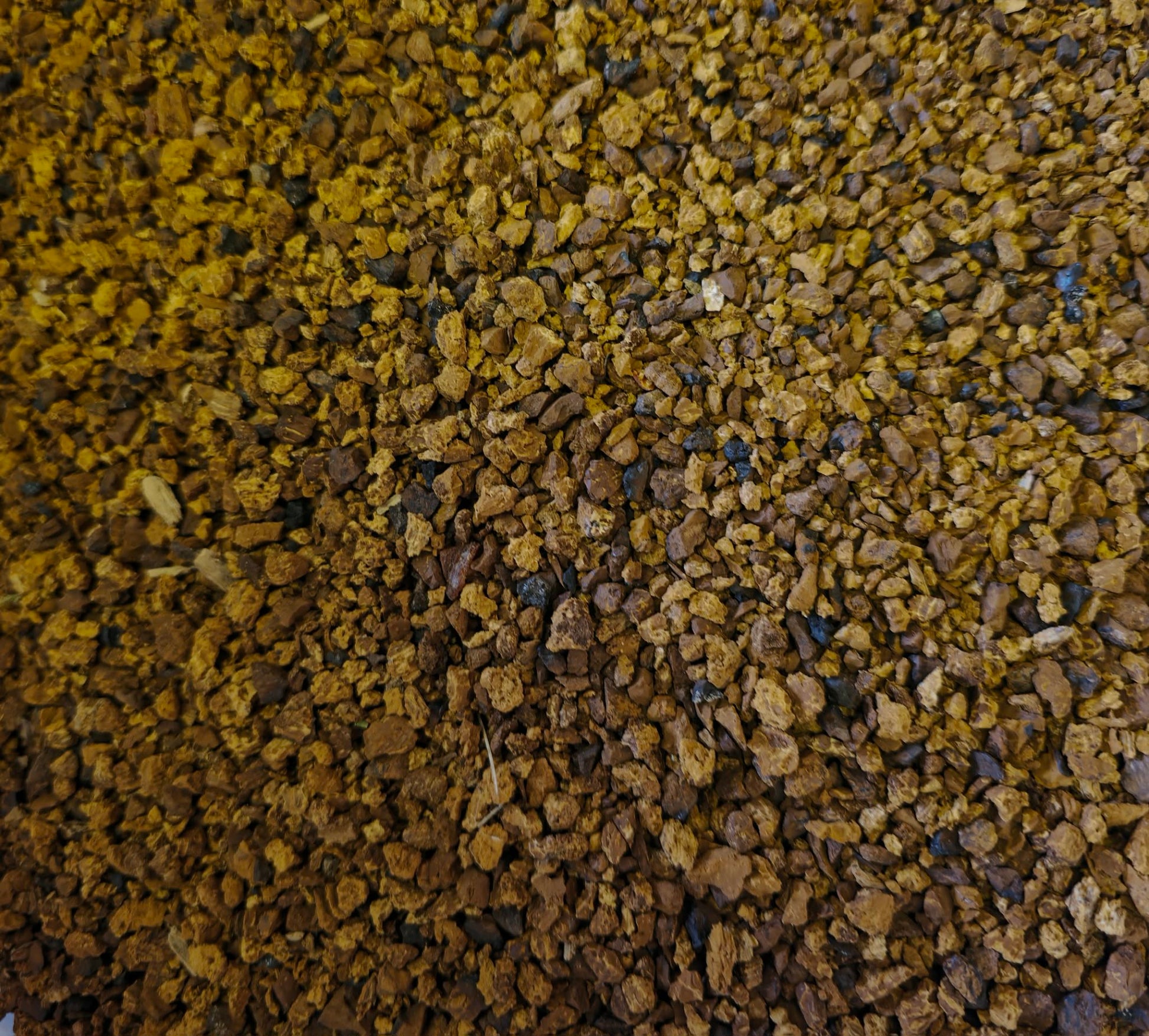 Macro close-up of Premium Certified Organic Chaga Mushroom chunks, displaying the rich golden interior and dark melanin crust