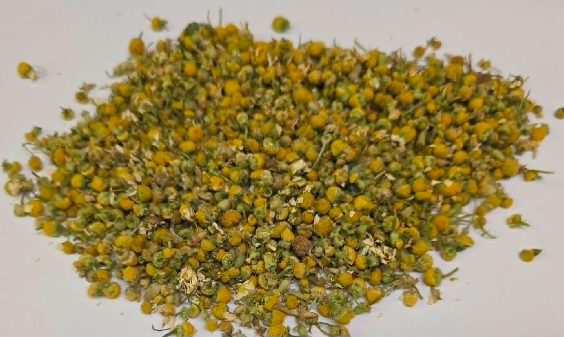 A close-up of premium dried German Chamomile (Matricaria recutita) flower heads resting on a white surface, highlighting the vibrant whole botanical used for soothing herbal infusions.