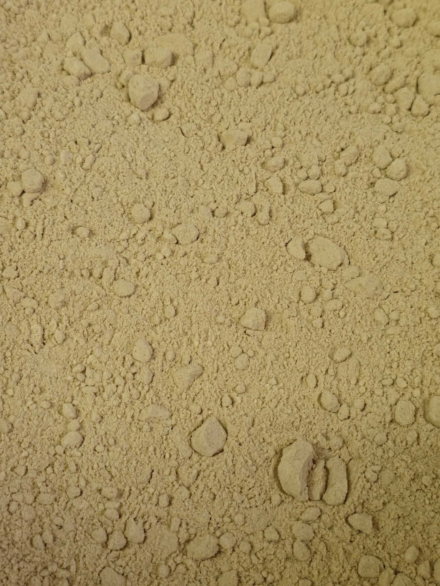 A close-up texture shot showing the fine, creamy brown, free-flowing powder of pure Organic Lion's Mane mushroom, milled exclusively from the fruiting body