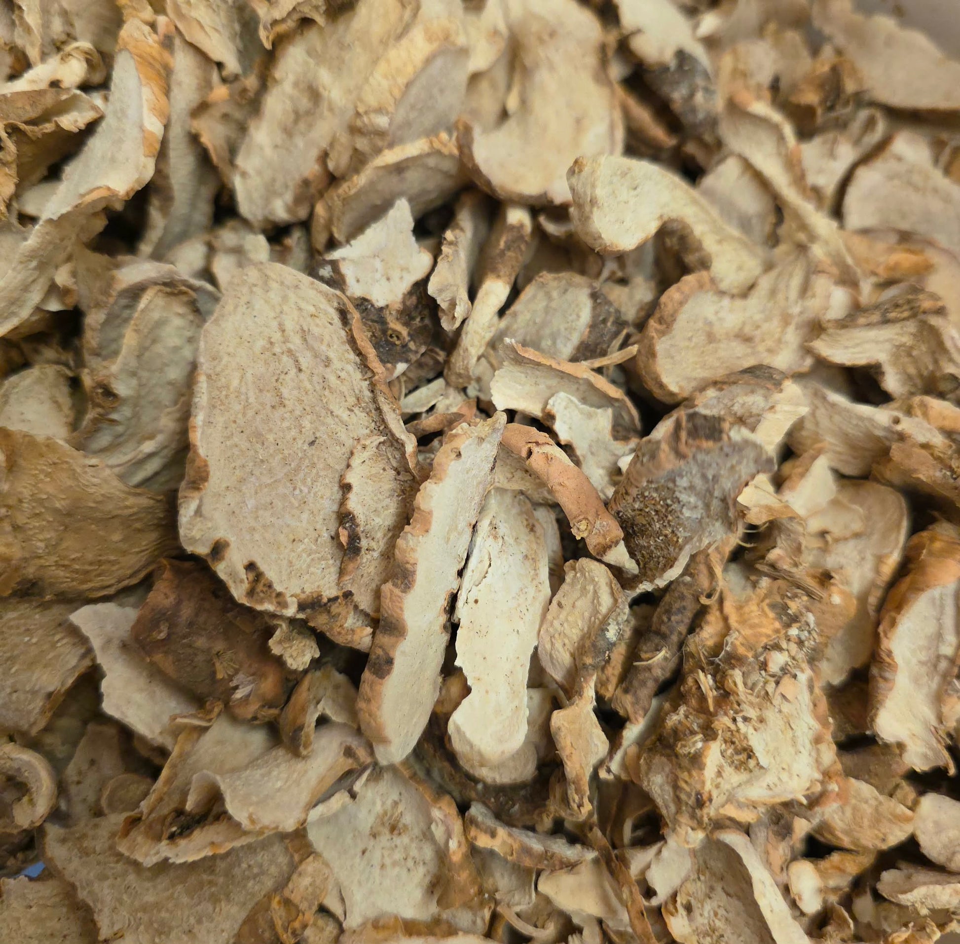 A close-up photograph of premium, Certified Organic unpeeled and cut Orris root (Rhizoma iridis). The image highlights the natural creamy-white and light tan texture of the hard, dried root slices, meticulously prepared for traditional herbal decoctions and use as a natural perfumery fixative