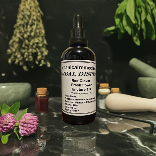 Premium Percolated Red Clover Tincture 1:3 45% ABV (Trifolium pratense) wild-crafted Polish botanical extracted in Great Britain for women's hormonal balance.
