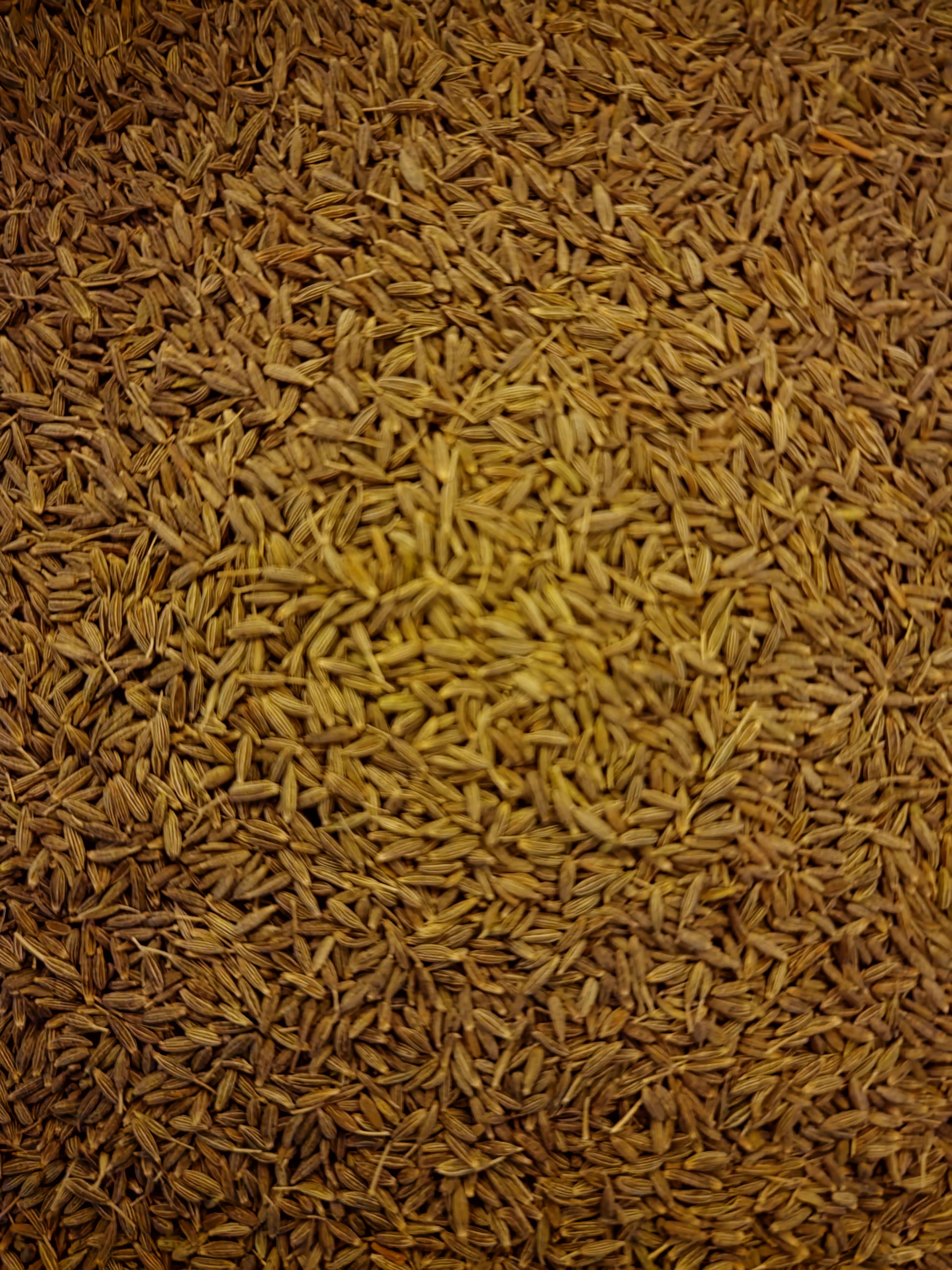 An overhead macro close-up view of loose Apothecary Grade whole Cumin seeds, displaying the uniform greyish-brown color and textured seed coats of premium Indian Cuminum cyminum