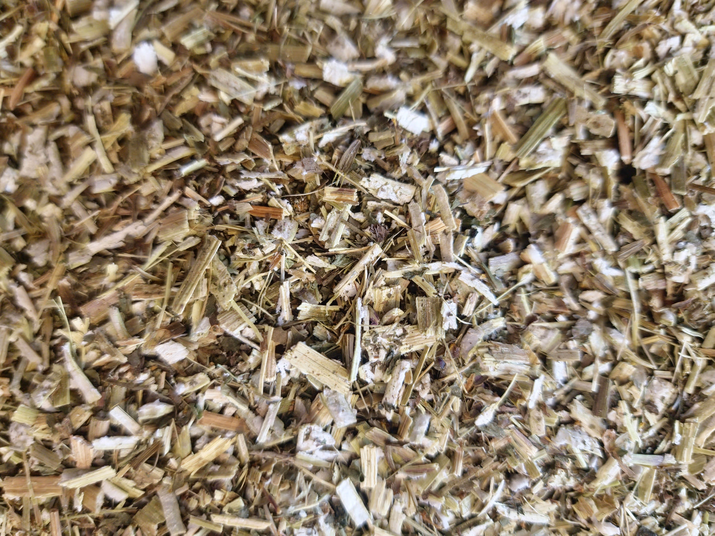 Close-up of premium wild-grown, dried and cut Bidens tripartita (Burr Marigold) herb, featuring a dense mix of finely chopped light brown and pale green botanical stems