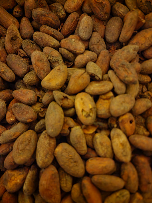 A crisp, detailed overhead macro photograph of premium loose whole Roasted Cocoa Beans, showcasing the authentic dusty brown textured husks of Venezuelan Theobroma cacao seeds.