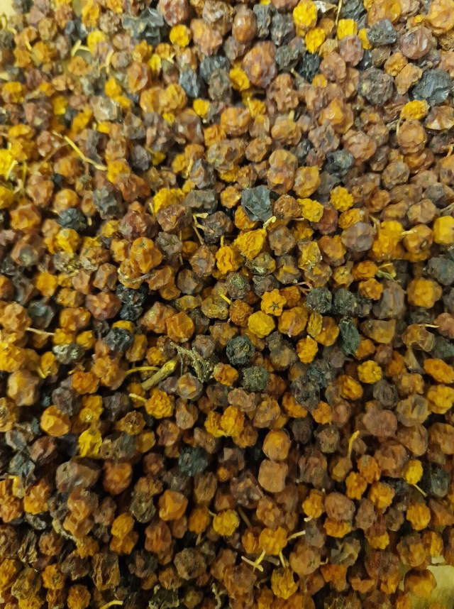 Whole dried wild-harvested Rowan Berries (Sorbus aucuparia) displaying dark golden-amber and orange fruit with natural stems for herbal decoctions and dispensary preparations.