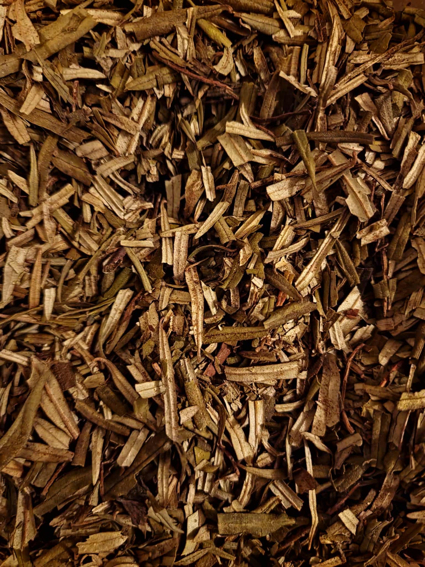Close-up of dried and cut sea buckthorn leaves, an herbal remedy from Botanical remedies herbal dispensary, loose herbal tea