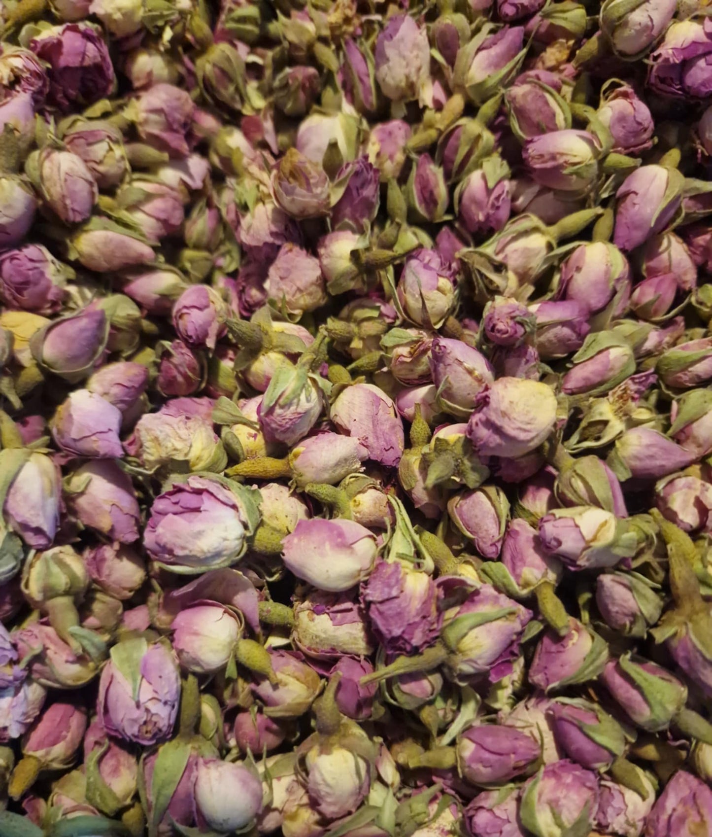 A detailed macro close-up of premium, whole dried Organic Pink Rose Buds (Rosa damascena). The tightly closed, vibrant pink petals and intact green sepals showcase the pristine, pharmacopoeia-grade quality of this pure botanical, ideal for traditional herbal infusions and high-end apothecary preparations.