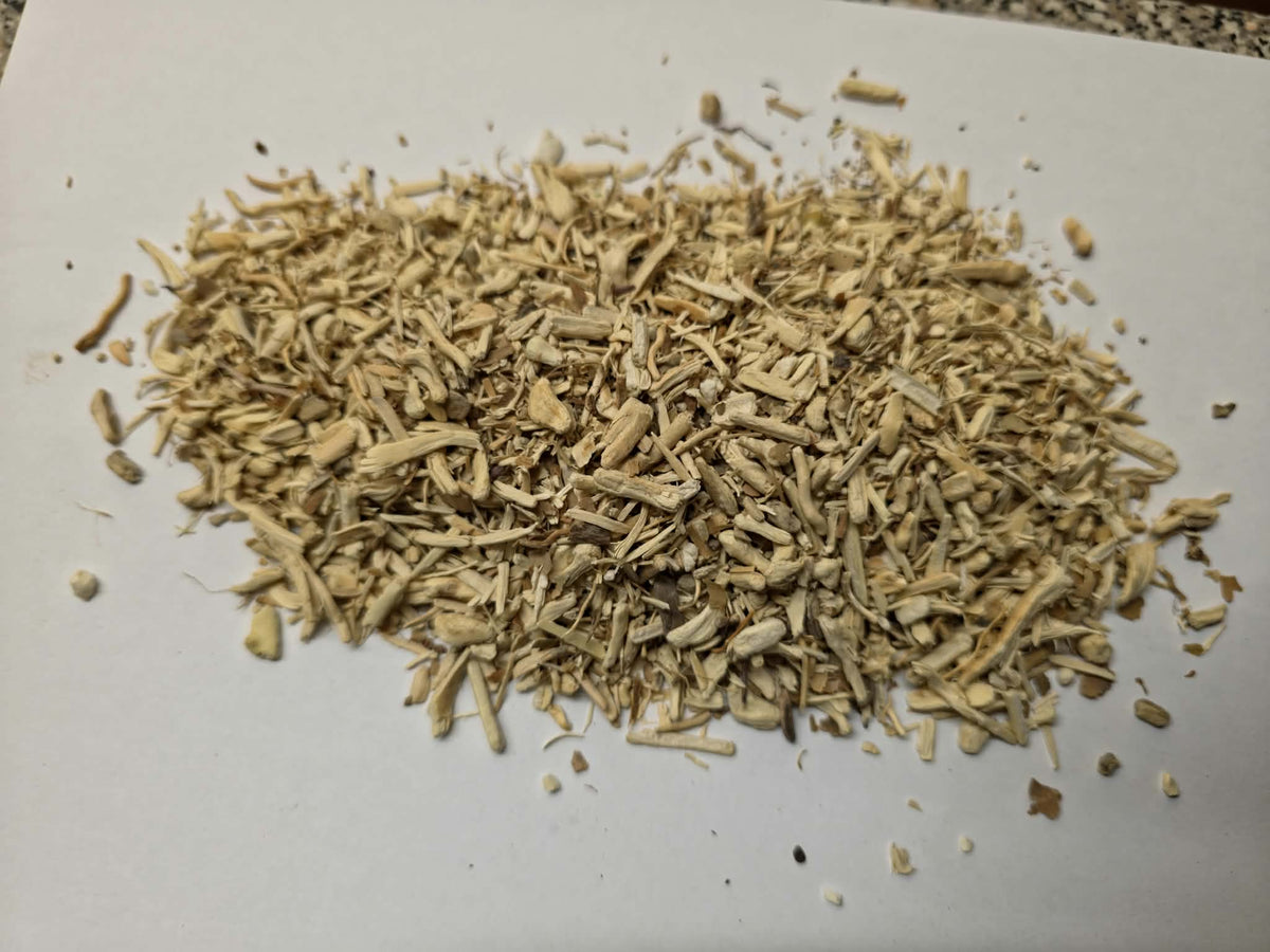 Coarsely cut wild-harvested Hydrangea Root (Hydrangea arborescens) showing pale cream fibrous root pieces for herbal decoctions and apothecary compounding.